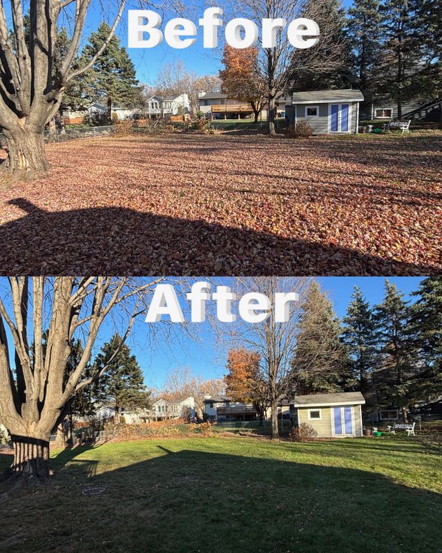 Weekly Lawn Maintenance