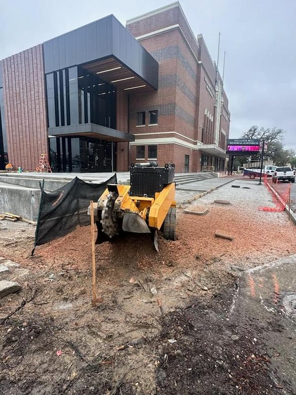 Tree Removal gallery