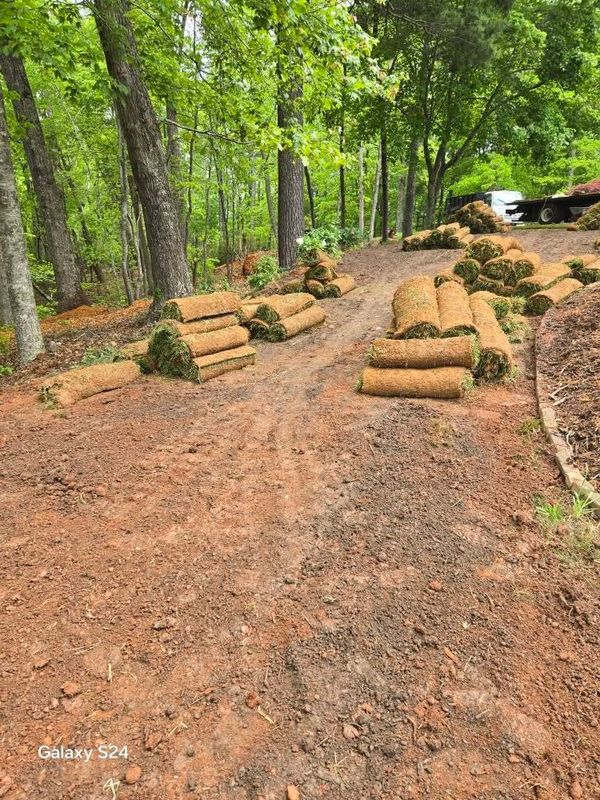 Sod installation
