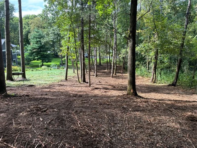 Forestry Mulching