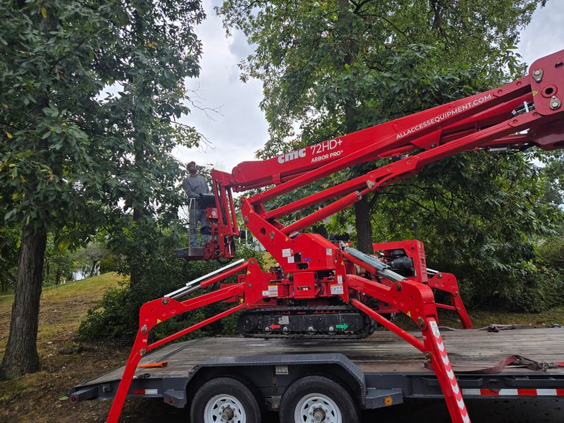 Tree Trimming