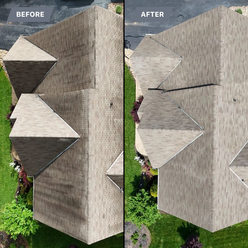 Roof Soft Wash