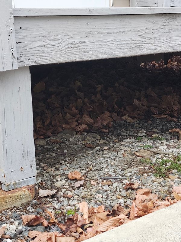 Spring & Fall Cleanups