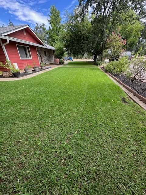 Lawn Maintenance