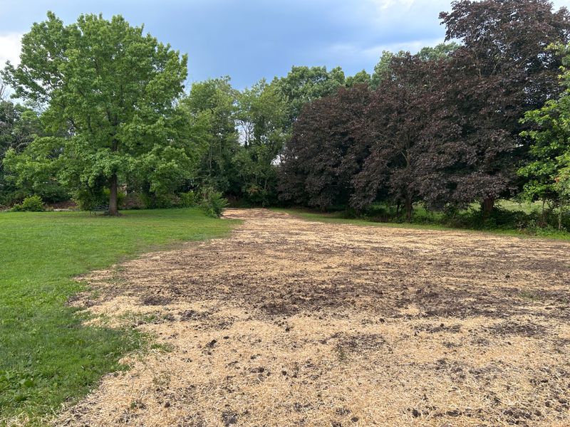 Land Clearing