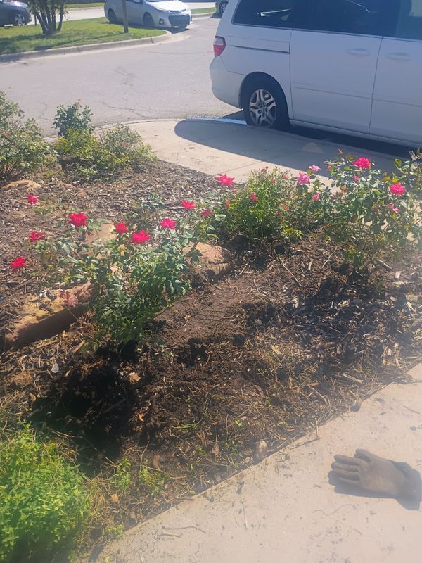 Fall & Spring Cleanup
