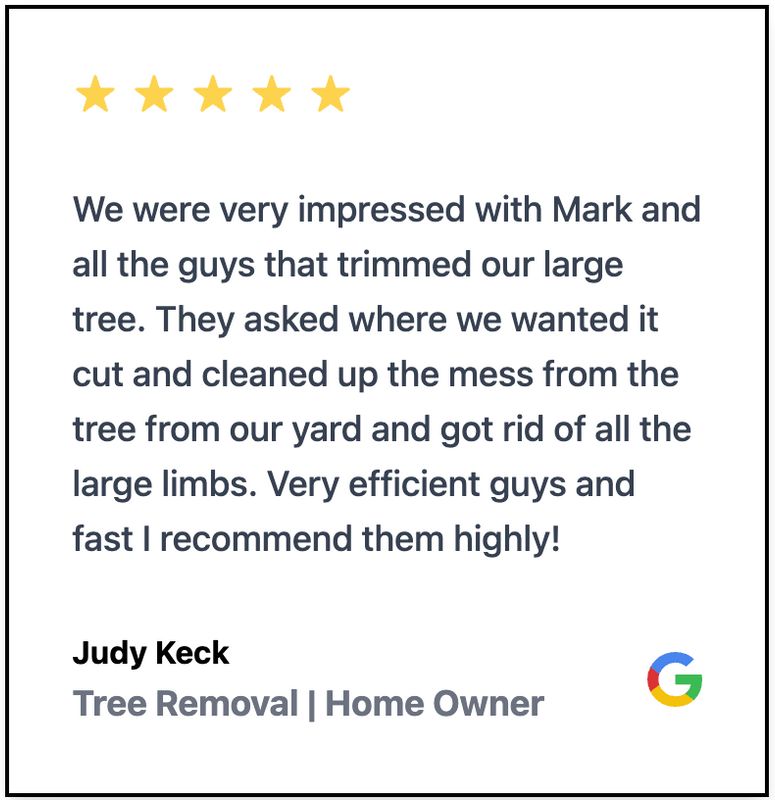 Tree Removal