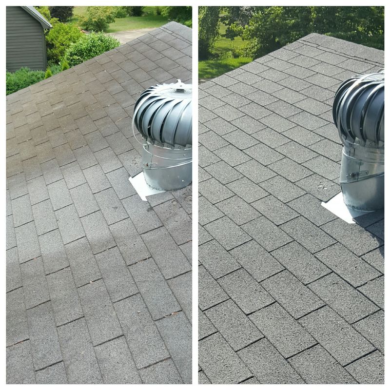 Roof Cleaning
