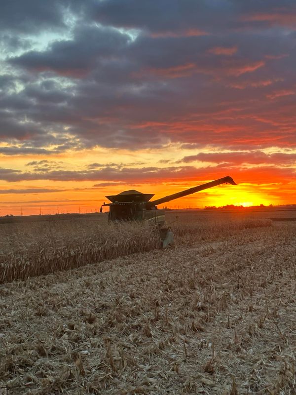 Farming