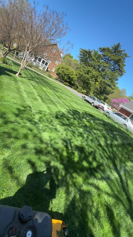Lawn Care & Maintenance