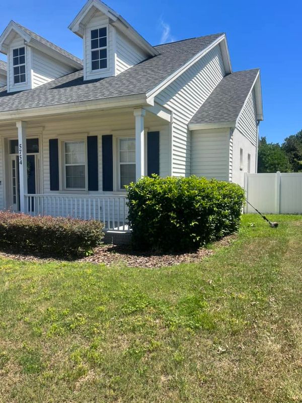Shrub Trimming