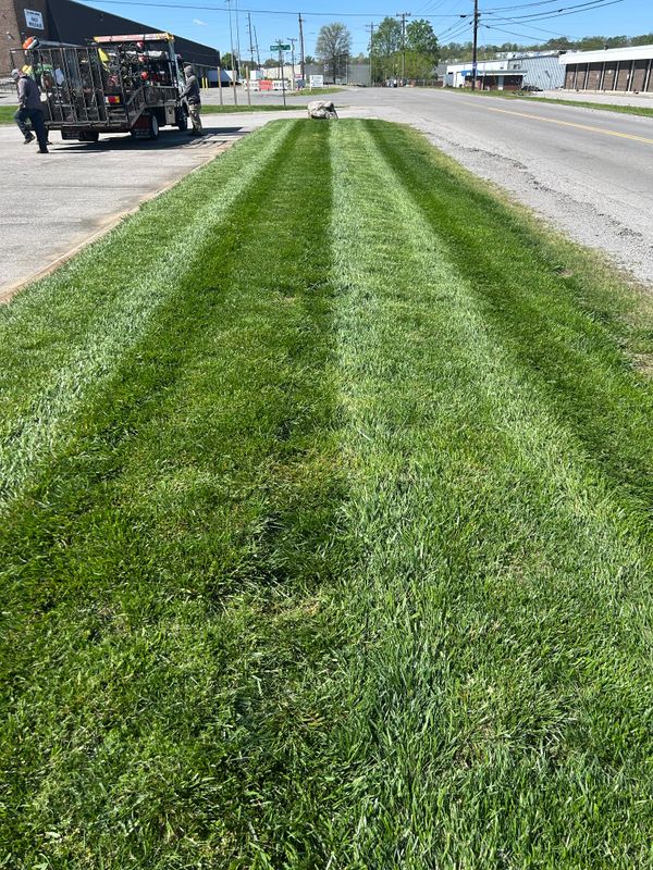 Mowing