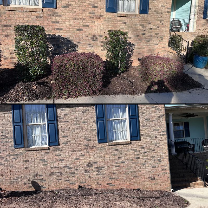 Shrub Trimming