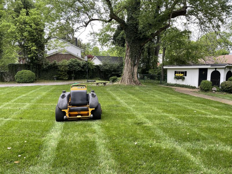 Mowing
