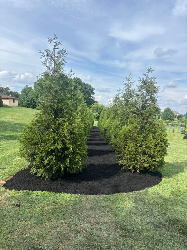 Landscape Design