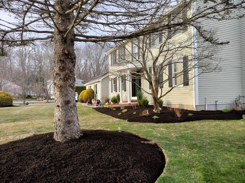 Landscaping gallery