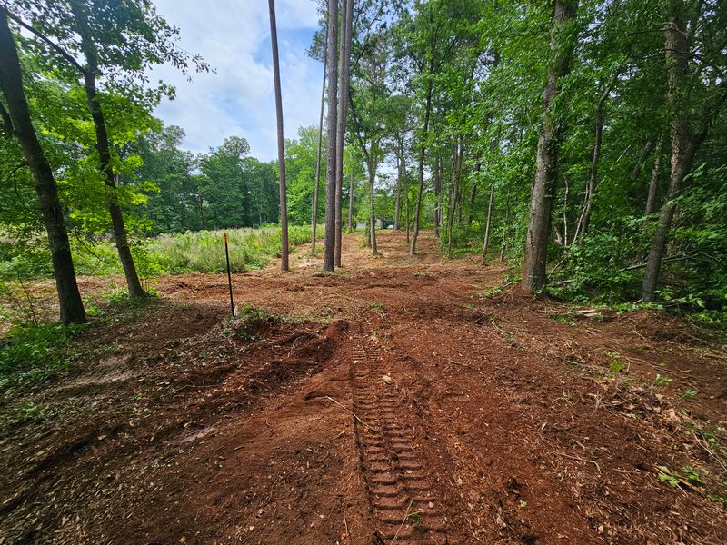 Forestry Mulching