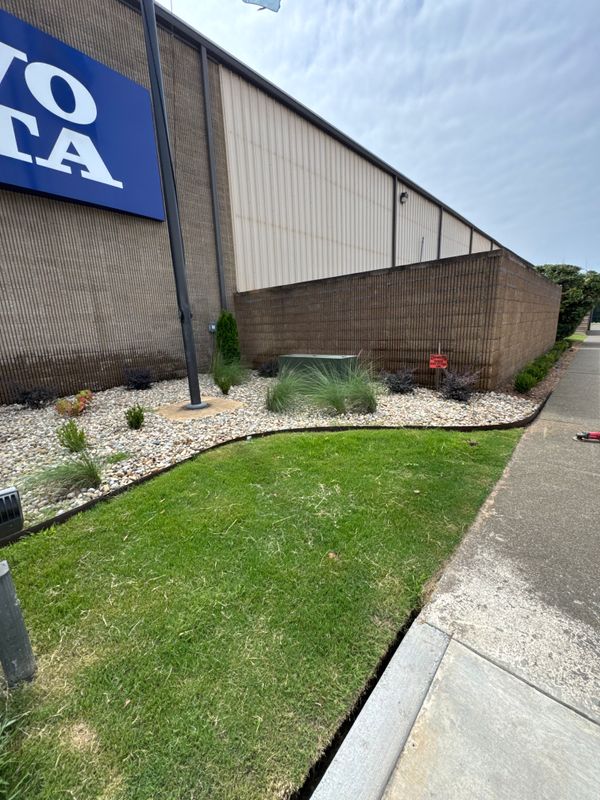 Shrub Trimming