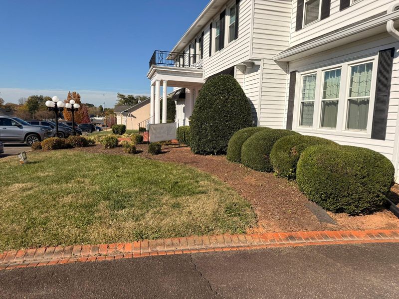 Other Lawn Maintenance