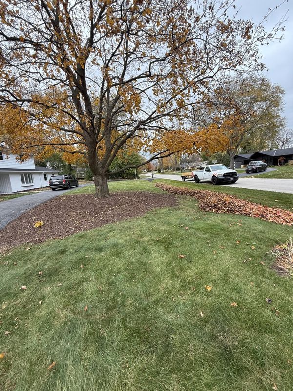 Seasonal Clean-Up