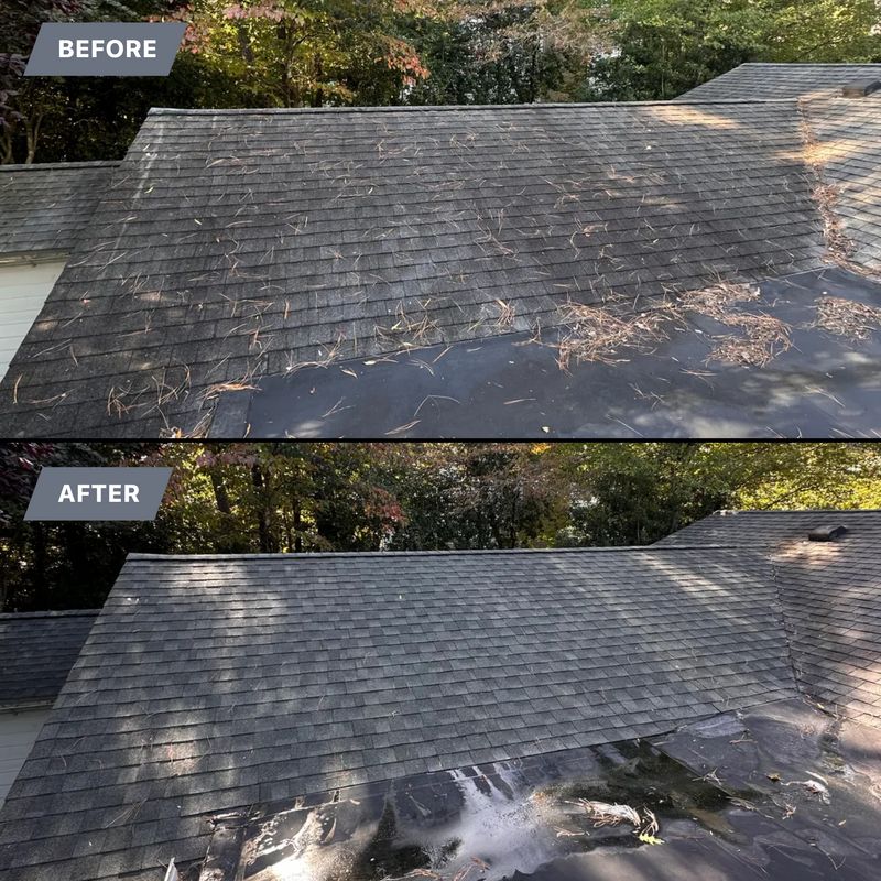 Roof Soft Wash