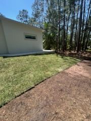Lawn Care