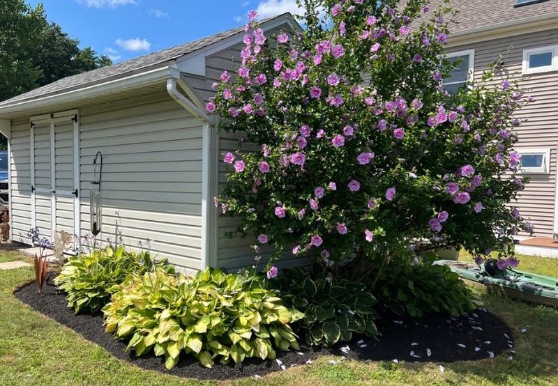 Landscape Design