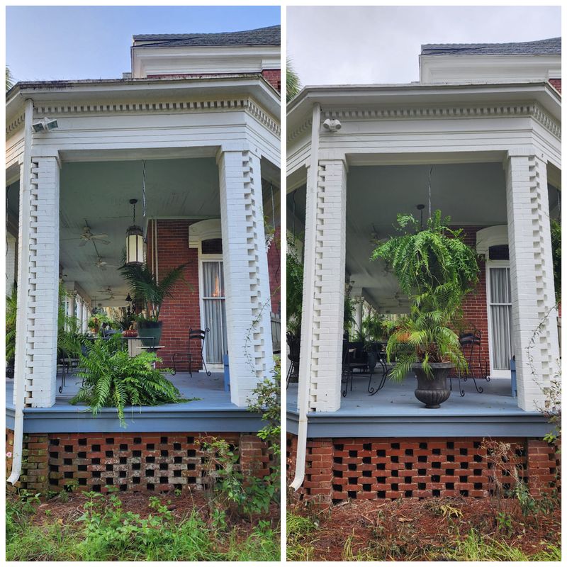 Deck & Patio Cleaning