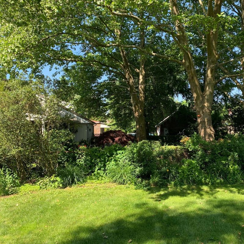 Lawn Care
