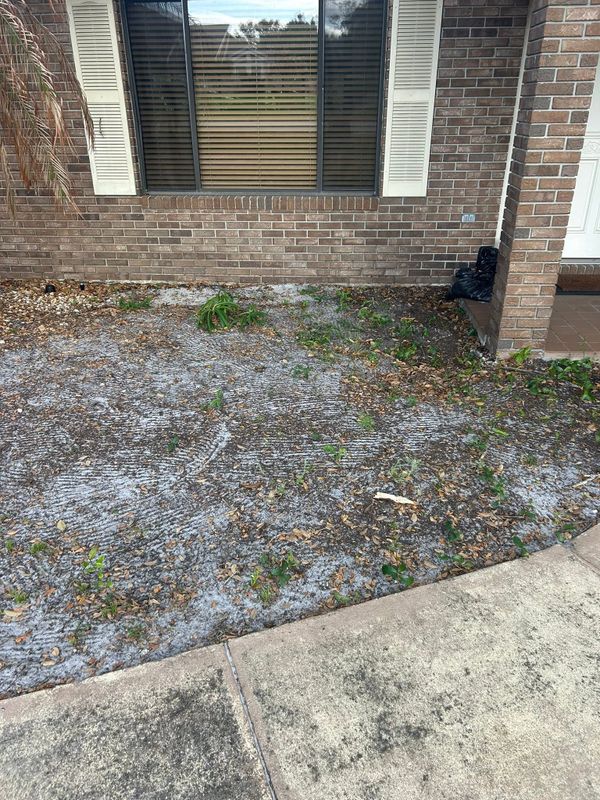 Lawn Care and Maintenance
