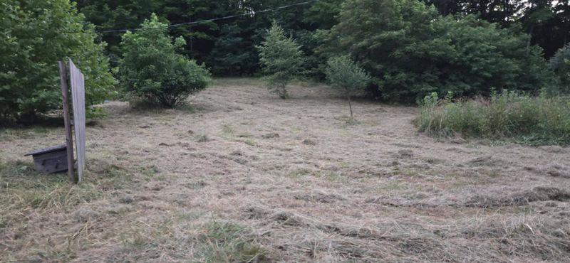 Land Clearing
