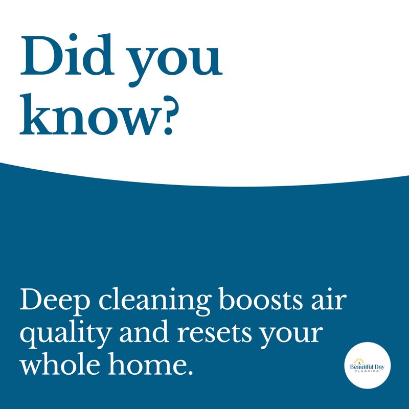 Top to Bottom Deep Clean