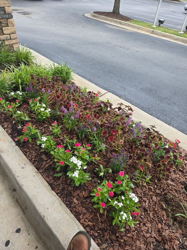 Other Lawn Services