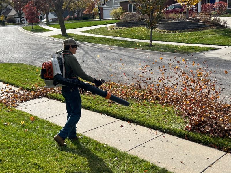 Seasonal Clean-Up