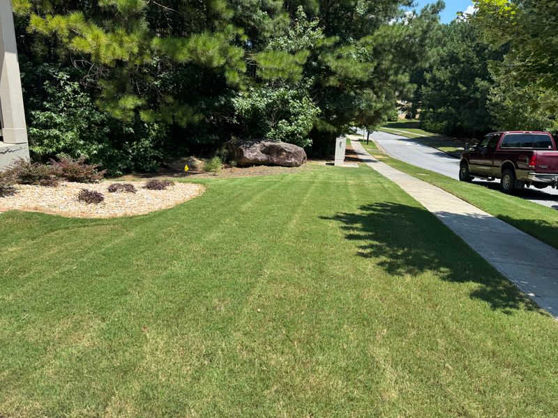 Lawn Care