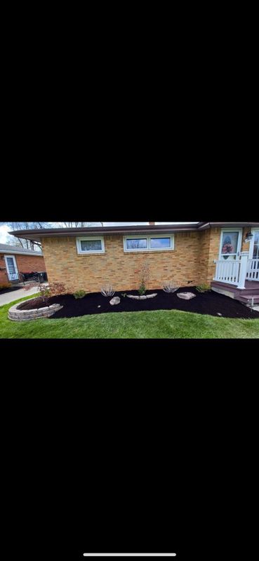 Shrub & Plant Installation Photos