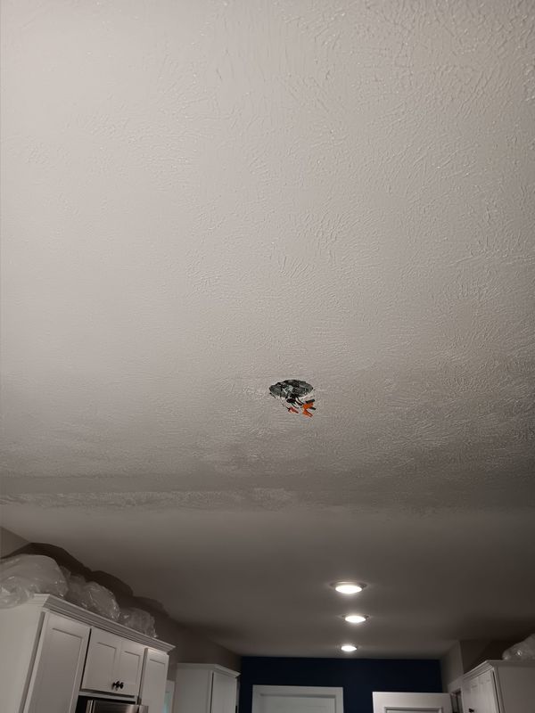 Subfloor repair and Beam Shoring