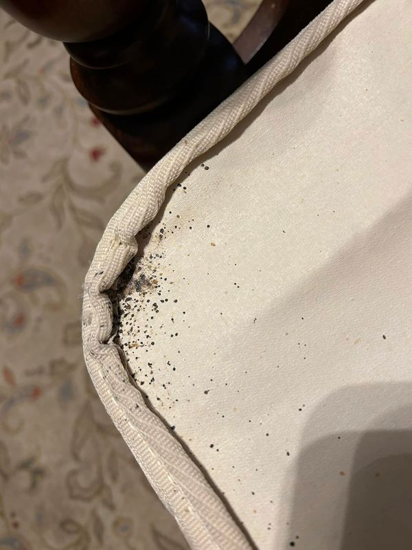 Residential Pest Control
