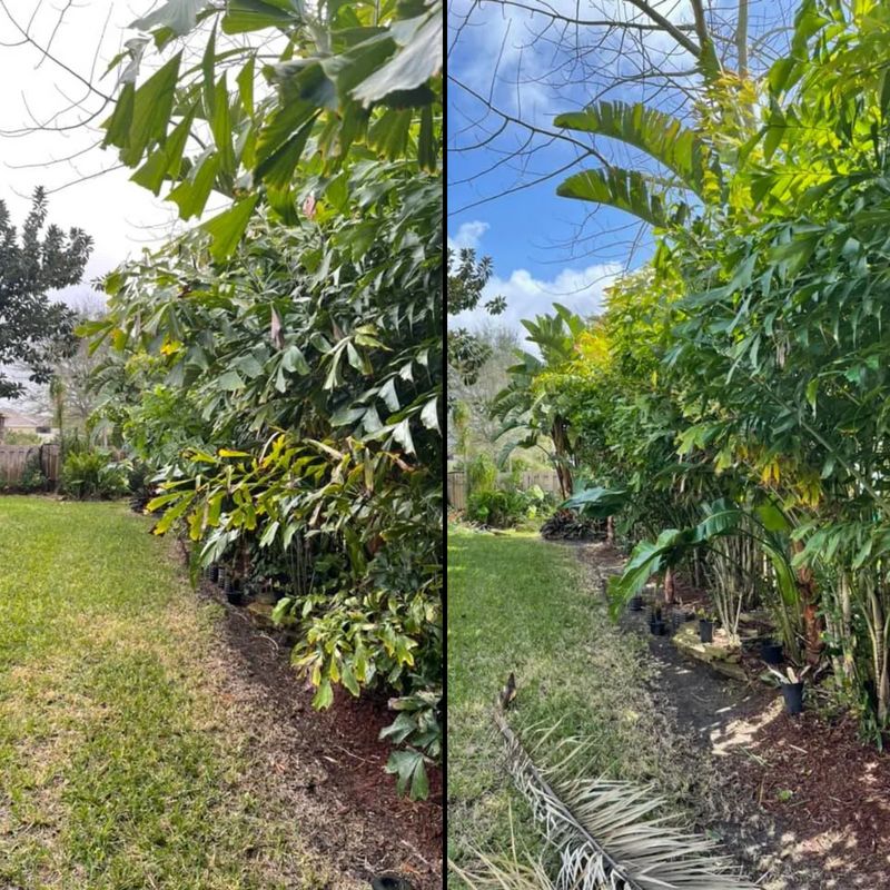 Trimming and pruning