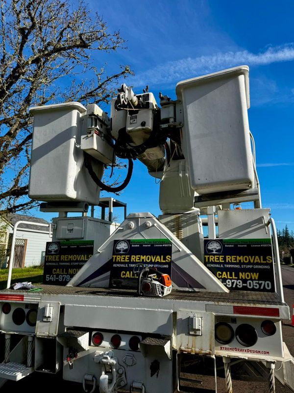 Tree Removals
