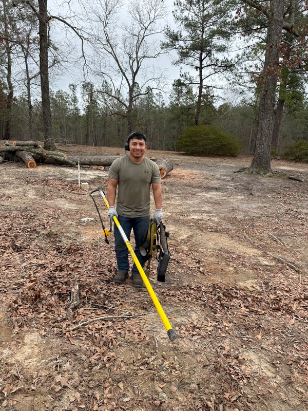Land Clearing