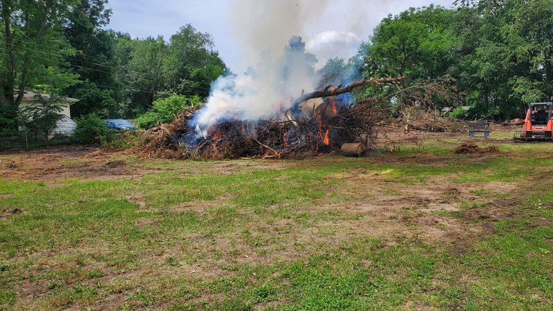 Lot Clearing