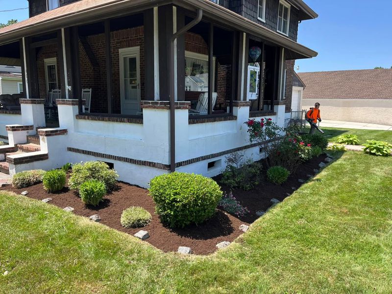 Landscape Design & Installation