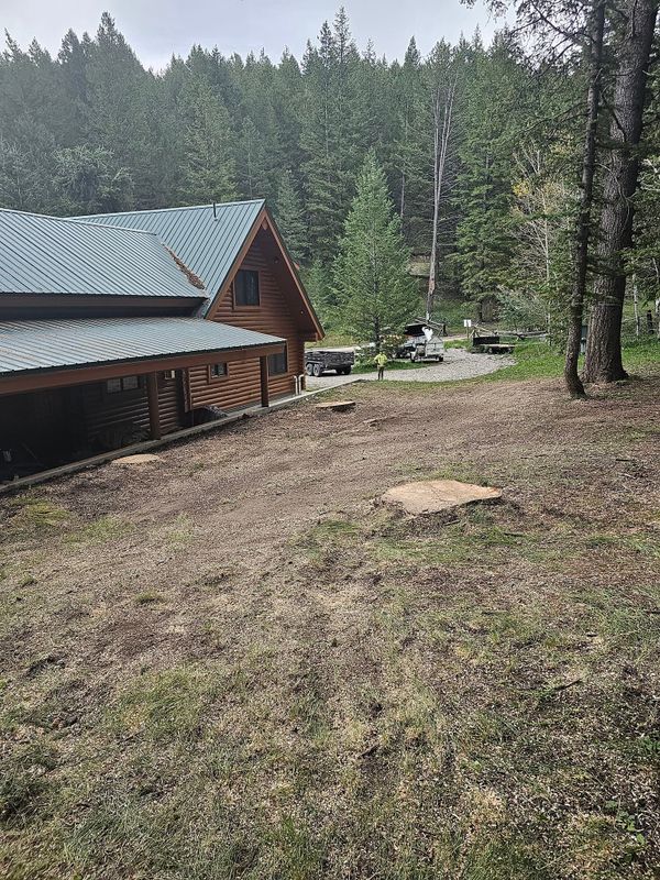 Tree Removal gallery