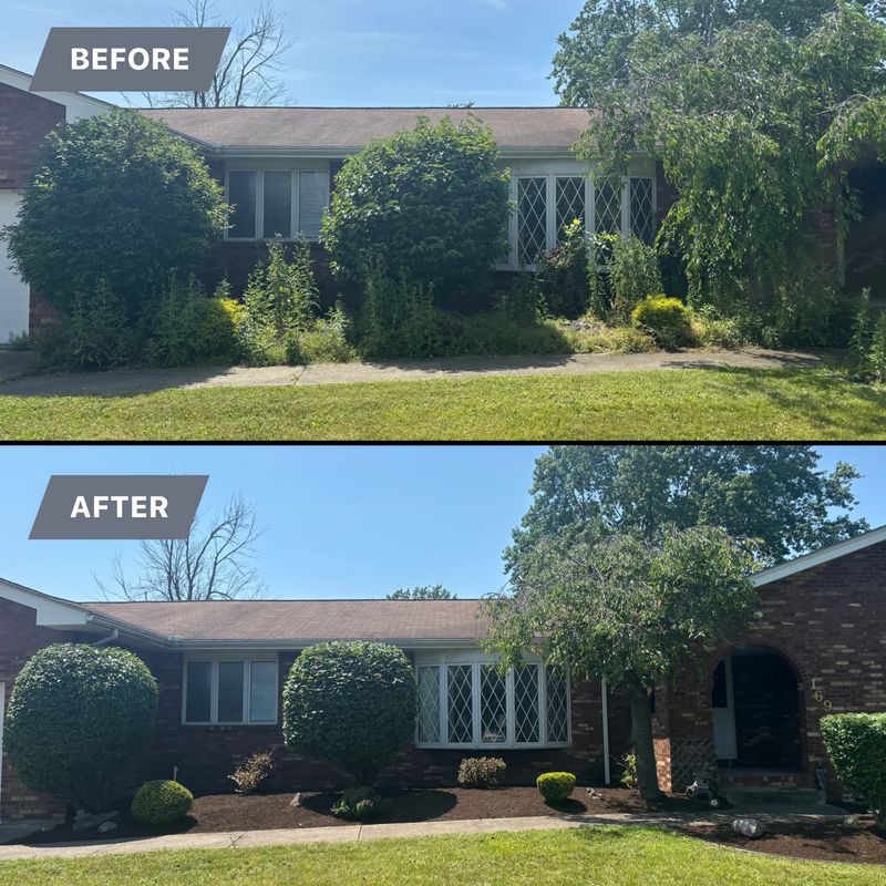 Before/After 