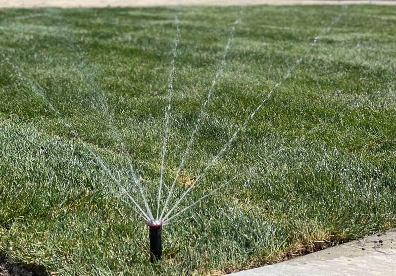 Irrigation System Installs