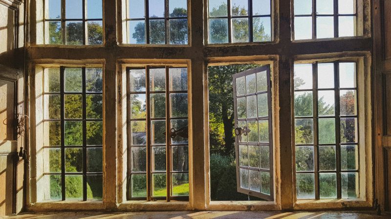 Windows & Doors