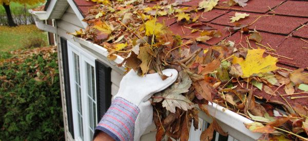 Gutter Clean Up