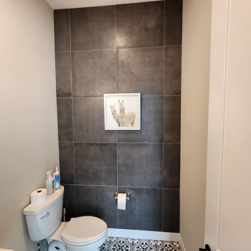 Accent wall/ Fireplaces