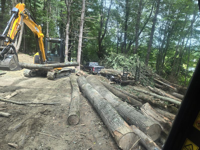 Land Clearing